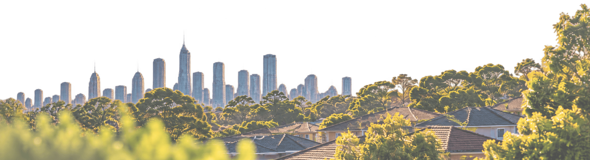 Tree-lined suburban rooftops with a city skyline in the distance at golden hour